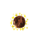 茶色い犬のスタンプ001（個別スタンプ：3）