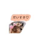 茶色い犬のスタンプ001（個別スタンプ：14）