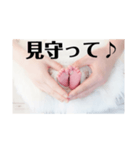 生命「いのち」（個別スタンプ：4）