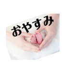 生命「いのち」（個別スタンプ：7）