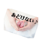 生命「いのち」（個別スタンプ：10）