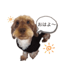 ワイヤーダックス もにゃ2（個別スタンプ：5）