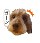 ワイヤーダックス もにゃ2（個別スタンプ：6）