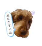 ワイヤーダックス もにゃ2（個別スタンプ：11）