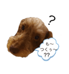 ワイヤーダックス もにゃ2（個別スタンプ：20）