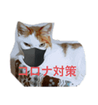 ティンクの森（個別スタンプ：2）