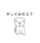 脱力系白犬（個別スタンプ：5）