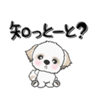 シーズー犬の福岡弁 41（個別スタンプ：15）