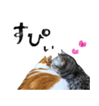 なんなんスタンプ01（個別スタンプ：5）