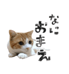 なんなんスタンプ01（個別スタンプ：6）