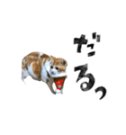 なんなんスタンプ01（個別スタンプ：7）