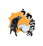 なんなんスタンプ01（個別スタンプ：9）