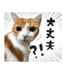 なんなんスタンプ01（個別スタンプ：12）