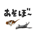 なんなんスタンプ01（個別スタンプ：18）