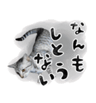 なんなんスタンプ01（個別スタンプ：19）