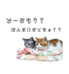 なんなんスタンプ01（個別スタンプ：24）