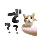 なんなんスタンプ01（個別スタンプ：26）