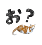 なんなんスタンプ01（個別スタンプ：28）