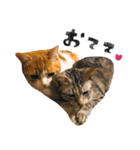 なんなんスタンプ01（個別スタンプ：29）
