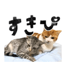 なんなんスタンプ01（個別スタンプ：32）