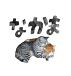 なんなんスタンプ01（個別スタンプ：33）