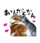 なんなんスタンプ01（個別スタンプ：38）