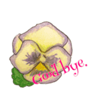 Message sticker (Flower)（個別スタンプ：6）