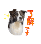 JACKMAN STAMP 2（個別スタンプ：1）