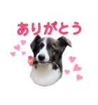 JACKMAN STAMP 2（個別スタンプ：2）