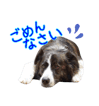 JACKMAN STAMP 2（個別スタンプ：3）