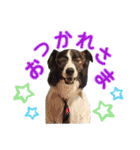 JACKMAN STAMP 2（個別スタンプ：4）