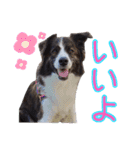 JACKMAN STAMP 2（個別スタンプ：6）