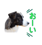 JACKMAN STAMP 2（個別スタンプ：8）
