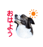 JACKMAN STAMP 2（個別スタンプ：9）