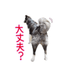 JACKMAN STAMP 2（個別スタンプ：11）