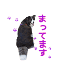 JACKMAN STAMP 2（個別スタンプ：15）