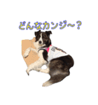JACKMAN STAMP 2（個別スタンプ：16）
