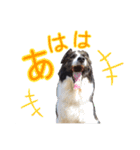 JACKMAN STAMP 2（個別スタンプ：17）