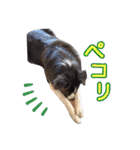 JACKMAN STAMP 2（個別スタンプ：18）
