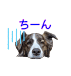JACKMAN STAMP 2（個別スタンプ：19）