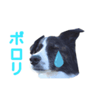 JACKMAN STAMP 2（個別スタンプ：21）