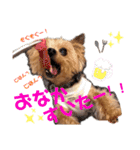 ぼくはチョコ！（個別スタンプ：10）