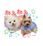 ぼくはチョコ！（個別スタンプ：11）