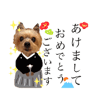 ぼくはチョコ！（個別スタンプ：23）