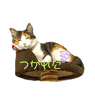 ☆ニコミー日記☆（個別スタンプ：2）
