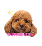 大臣くん3（個別スタンプ：1）