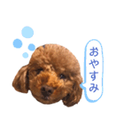 大臣くん3（個別スタンプ：7）