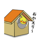 ちょいデブインコの日常～オカメ～（個別スタンプ：34）