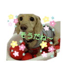 もずくのスタンプ3（個別スタンプ：4）
