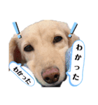 もずくのスタンプ3（個別スタンプ：8）